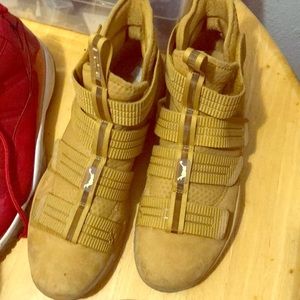 Lebron James Nike shoes